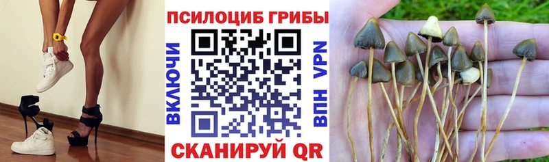 даркнет сайт  Волоколамск  omg онион  Псилоцибиновые грибы GOLDEN TEACHER 